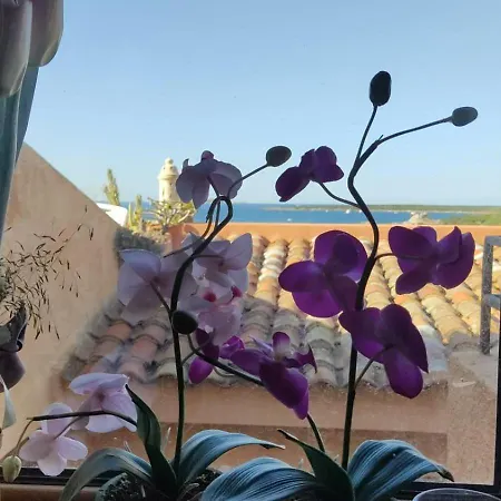 Soleluna - Ad Un Passo Dal Mare * Santa Marinella